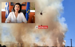 Η Ρόδη Κράτσα αναφέρει τον πιθανό υπαίτιο της Πυρκαγιάς στο Καπανδρίτι (VIDEO)