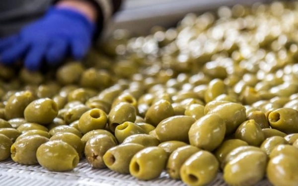 Επιτραπέζια ελιά 2017-2018: Πως διαμορφώνονται τιμές και παραγωγή