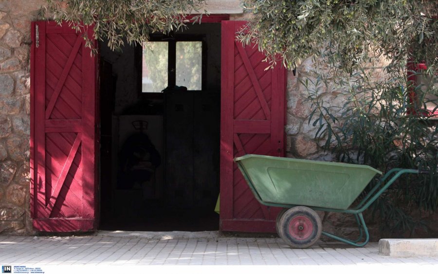 Κορωπί: 20χρονος από το Πακιστάν προσπάθησε να βιάσει 5χρονο κοριτσάκι στον Ιππικό Όμιλο
