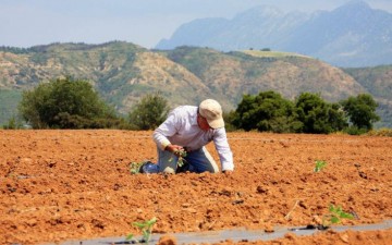 Ε.Α.Σ.: Εκπνέει η προθεσμία για Διοικητικές Πράξεις Διόρθωσης Αιτήσεων Επιδοτήσεων 2016