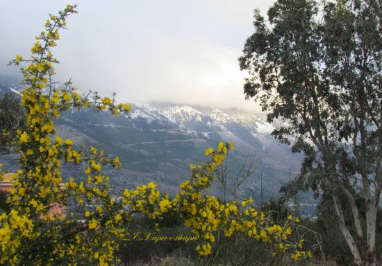 Ο Αίνος στέκει υπερήφανα χιονισμένος!