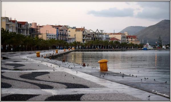 Γέμισε σουσουράδες η παραλία του Αργοστολίου!