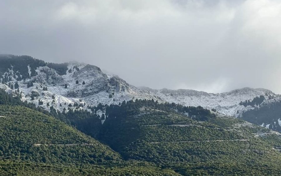 Έπεσαν τα πρώτα χιόνια στον Αίνο!