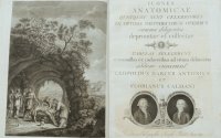 Ιακωβάτειος: Άτλαντα Ανατομίας - Το Έκθεμα του Ιανουαρίου
