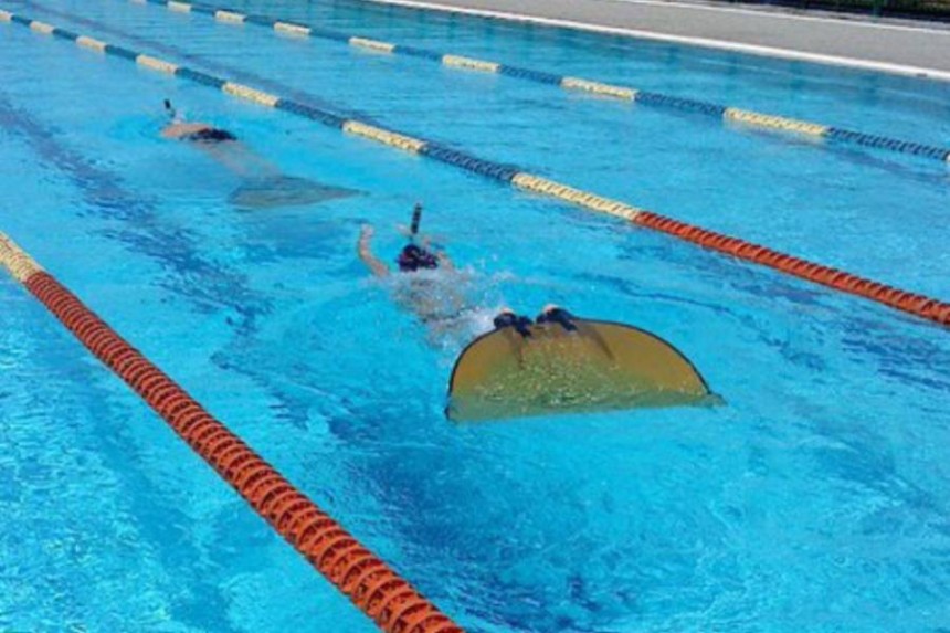 Ο ΝΟΑ στο Πανελλήνιο πρωτάθλημα τεχνικής κολύμβησης στο Χαϊδάρι