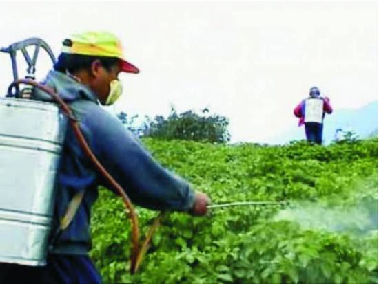 Πρόγραμμα ψεκασμών εντομοκτονίας σε Κεφαλονιά και Ιθάκη