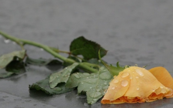 Δυστυχώς δεν τα κατάφερε ο 16χρονος Γεράσιμος Μπατιστάτος