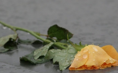 Δυστυχώς δεν τα κατάφερε ο 16χρονος Γεράσιμος Μπατιστάτος