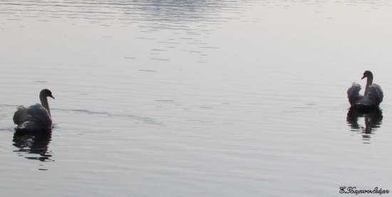 Αγαπη μία και παντοτινή!