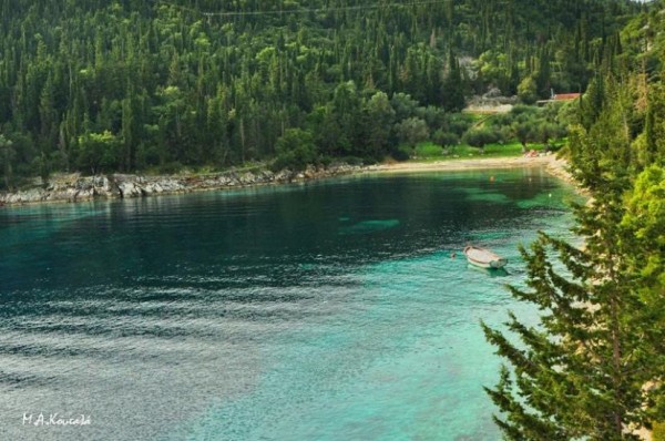 Το γαλαζοπράσινο Φώκι στο Φισκάρδο (εικόνες)