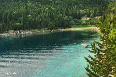 Το γαλαζοπράσινο Φώκι στο Φισκάρδο (εικόνες)