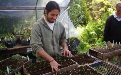 Ε.Α.Σ. : Διατηρούν κάρτα ανεργίας οι απασχολούμενοι σε Αγροτικές Εργασίες