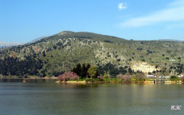 Κάτι ωραίο «ψήνεται» για τον Κούταβο...