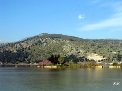 Κάτι ωραίο «ψήνεται» για τον Κούταβο...