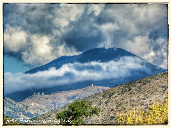 Ο Αίνος της Κεφαλληνίας είναι το "Νήριτον το εινοσίφυλλον"...