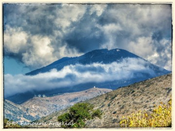 Ο Αίνος της Κεφαλληνίας είναι το "Νήριτον το εινοσίφυλλον"...