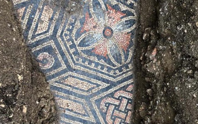 Ιταλία: Εντυπωσιακό ρωμαϊκό ψηφιδωτό εντοπίστηκε κάτω από αμπελώνα