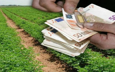 Επιδότηση έως 5.000 ευρώ για πληττόμενους αγρότες -Ποιοι θα πάρουν τα χρήματα