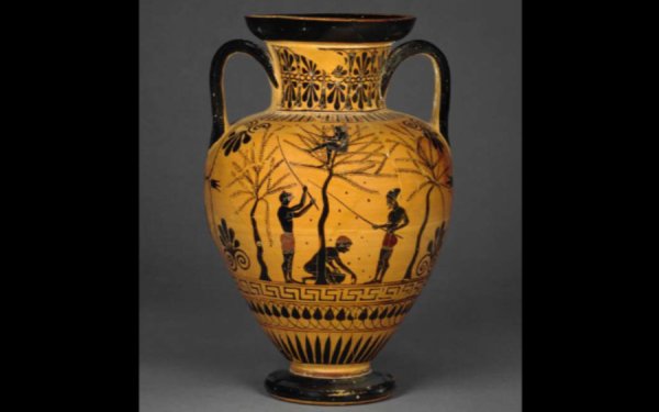 Ελαιόδεντρο, αιώνιο σύμβολο της Ελλάδας.. επιβίωσης, ευγνωμοσύνης και καλλιέργειας του πνεύματος!