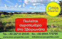 Πωλείται αγροτεμάχιο 4.500 τ.μ στα Σβορωνάτα, με αμφιθεατρική θέα στο αεροδρόμιο