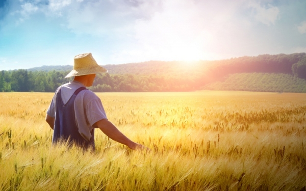 Ε.Α.Σ.: Θα αναγράφεται ο Αριθμός Ταυτότητας Ακινήτου (ΑΤΑΚ) στις δηλώσεις ΟΣΔΕ 2019