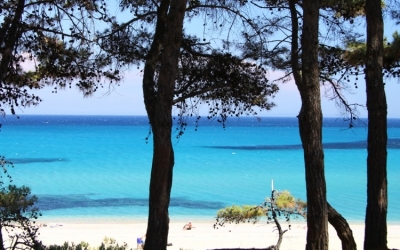 Συνεδριάζει το ΕΠΙΜΕΛΗΤΗΡΙΟ στη Σκάλα