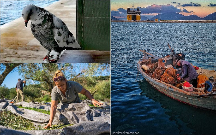 Οι δικές σας Κεφαλονίτικες φωτογραφίες στο Instagram - #inkefaloniagr - (18/11)