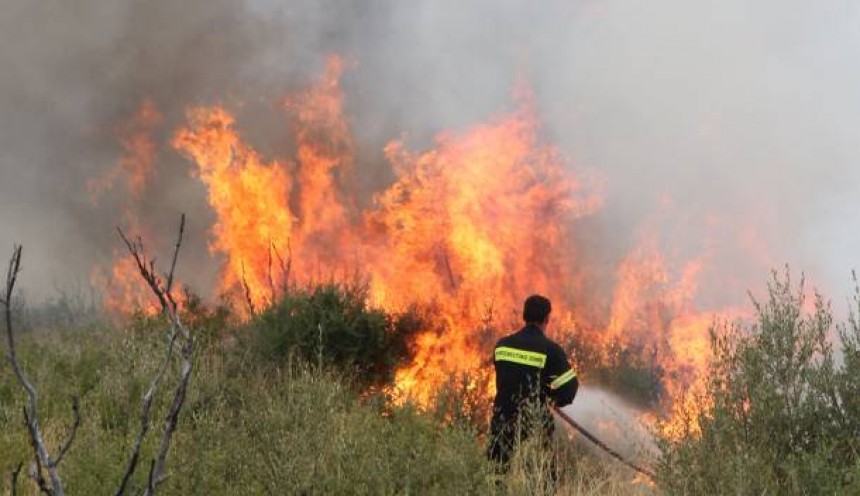 Τώρα: Φωτιά στη Λάσση