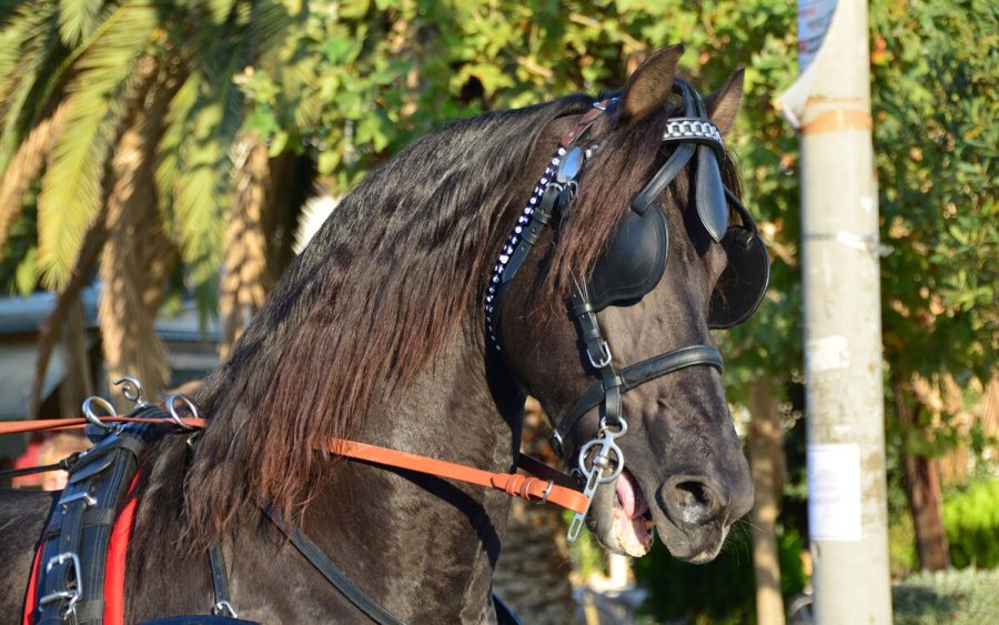 H εικόνα δεν έχει σχέση με το περιστατικό 