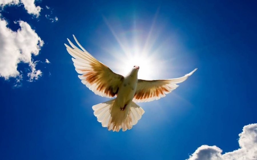 Αγίου Πνεύματος: Μεγάλη γιορτή για την Ορθοδοξία - Τι γιορτάζουμε σήμερα