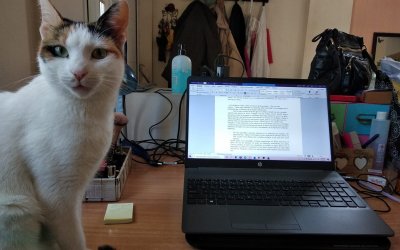 Βρέθηκε η λευκή γατούλα από το Μαϊστράτο