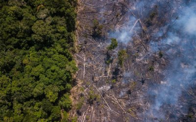 Ο Αμαζόνιος εξέπεμψε περισσότερο διοξείδιο του άνθρακα από όσο απορρόφησε