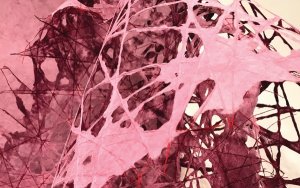 Παρουσίαση πρωτότυπων έργων της Barbara Sutherland &amp; John Abram στο Ιόνιο Κέντρο Τεχνών &amp; Πολιτισμού Μεταξάτων