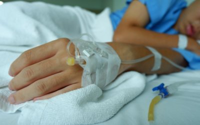 Αγωνία για 13χρονο στη Σύρο: Οχιά τον δάγκωσε