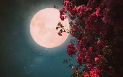 Πανσέληνος Μαΐου: Τι είναι το Φεγγάρι των Λουλουδιών που θα απολαύσουμε στον νυχτερινό ουρανό