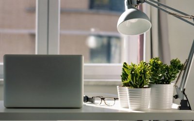 Έρευνα: Τα φυτά στο σπίτι βελτιώνουν την ψυχολογία των ανθρώπων στο lockdown