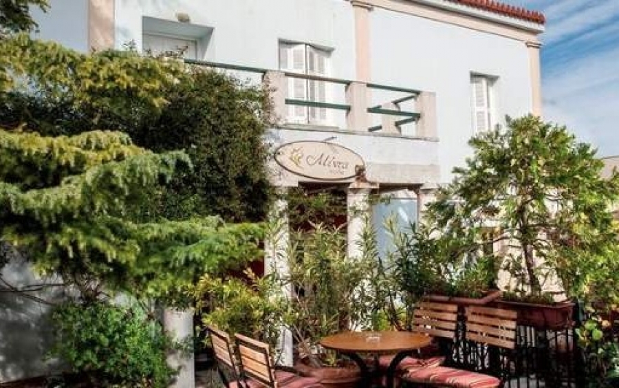 Μέντα: Το αρχοντικό του Αγγελου Σικελιανού στην Κηφισιά, με τον πνιγμένο στα λουλούδια κήπο, έγινε χουχουλιάρικο καφέ! [εικόνες]