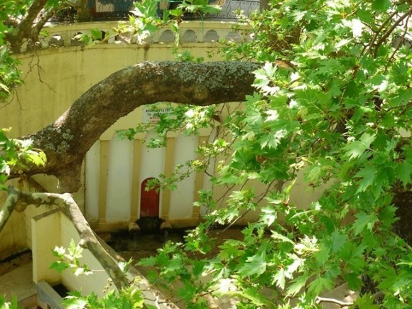 Πολιτιστικός Σύλλογος Λουρδάτων "Ο Πλάτανος" : Γενική Συνέλευση & Εκλογές