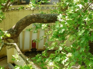 Πολιτιστικός Σύλλογος Λουρδάτων "Ο Πλάτανος" : Γενική Συνέλευση & Εκλογές