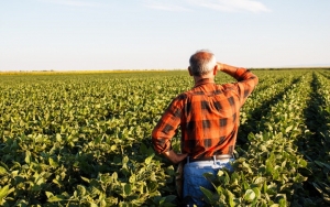 Ε.Α.Σ.: Μείωση κατά 50% του τσεκ στους Αγρότες