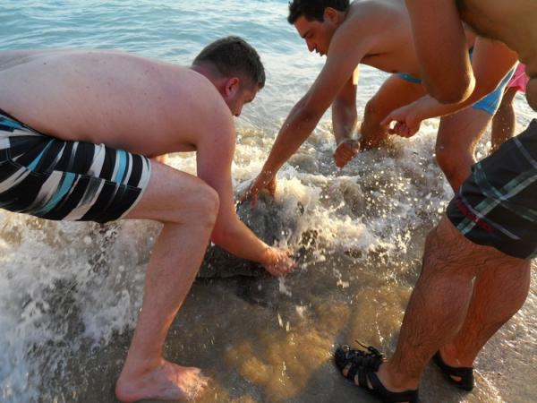 Απεγκλωβισμός θαλάσσιας χελώνας καρέτα – καρέτα στο Λουρδά (εικόνες)
