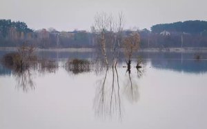 H εισβολή της Ρωσίας έχει καταστρέψει την ουκρανική φύση - Τα θλιβερά στοιχεία της Greenpeace για το αποτύπωμα των μαχών στο περιβάλλον