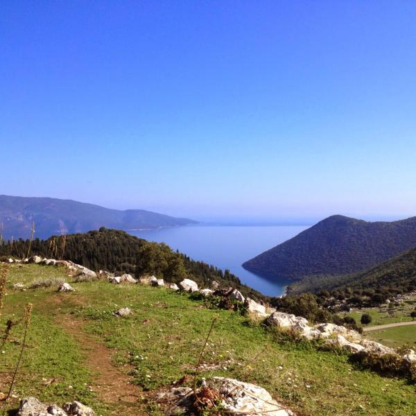 Σάμη -Αντίσαμη 12/10: Πυκνή βλάστηση- απίθανη θέα- αρχαία ερείπια -μπάνιο-δαφνόφυλλαα -ο σκύλος ο μαύρος και ο... ξανθός!