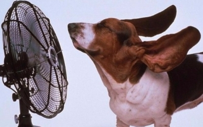 Ανεβαίνει ξανά η θερμοκρασία...(video)