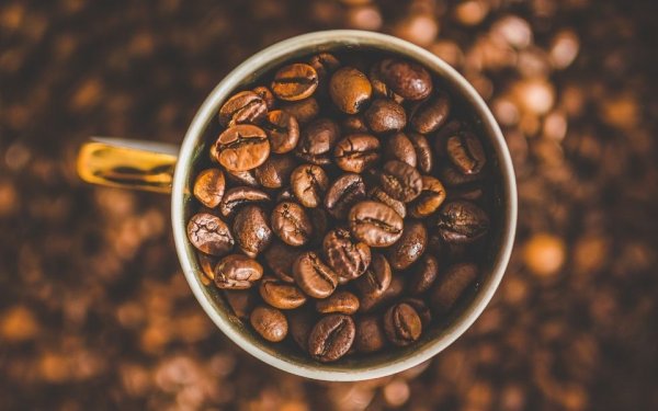 Παραλιακή καφετέρια στο Αργοστόλι αναζητά προσωπικό