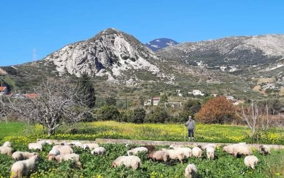 Διονυσία Μενεγάτου: &#039;&#039;Ξετυλίγω το κουβάρι της ζωής μου...&#039;&#039;