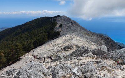 Στην κορυφή του Αίνου οι Πρόσκοποι Κεφαλονιάς και Ζακύνθου με δράσεις για τη φύση και τη συνεργασία