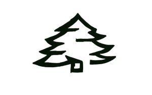 Έναρξη νέας χορευτικής χρονιάς στον Π.Σ. Αίνος Βλαχάτων