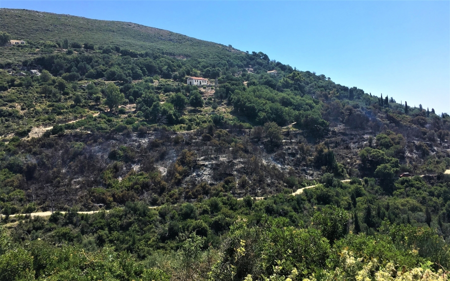 Υπό έλεγχο η πυρκαγιά στην Παλαιά Σκάλα (Ανανεωμένο - Εικόνες - Video)