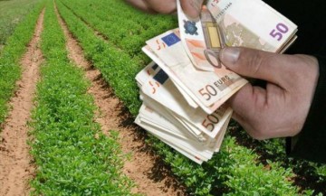 Ε.Α.Σ.: Eως 30/9 η διαδικασία επιστροφής ΦΠΑ για ντόπιους Αγρότες